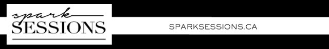 spark-sessions-2014-conference-2