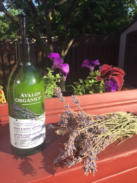 Soothe and Relax with Organic French Lavender | Toronto Beauty Reviews