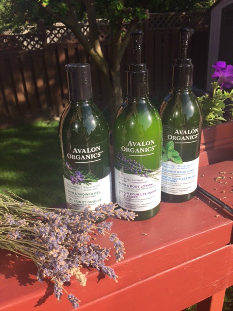Soothe and Relax with Organic French Lavender | Toronto Beauty Reviews