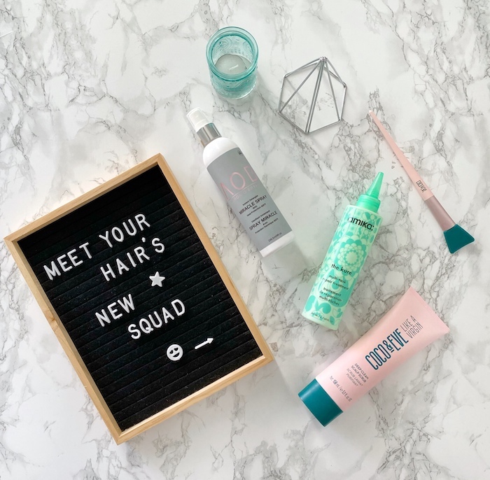 Meet Your Hair's New Squad | Toronto Beauty Reviews